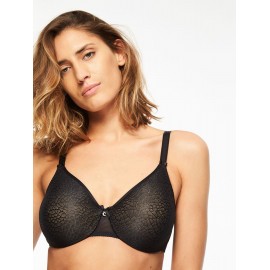 C MAGNIFIQUE REGGISENO FERRETTO COPPA C