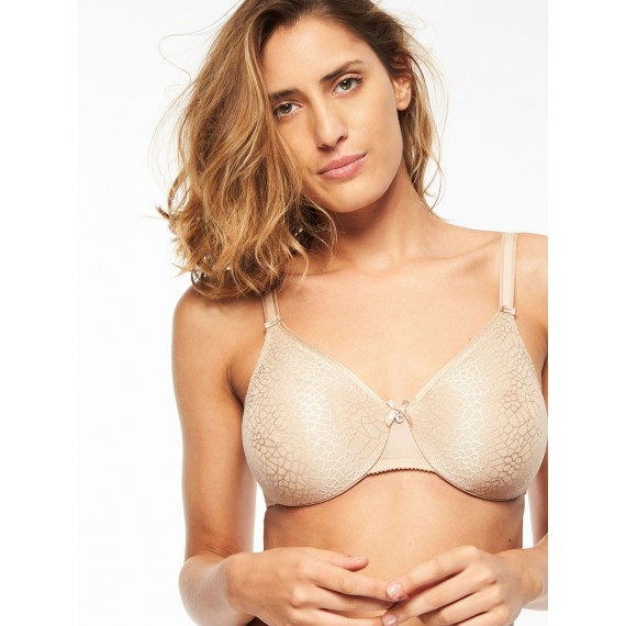 C MAGNIFIQUE REGGISENO FERRETTO COPPA F