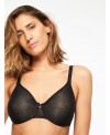 C MAGNIFIQUE REGGISENO FERRETTO COPPA F